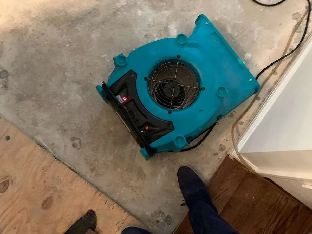 Air mover drying subfloor during Leak Detection & Repair in Wilbraham